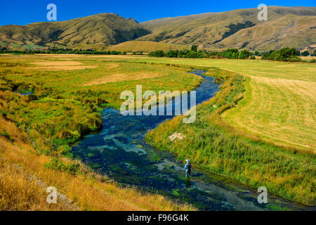 Spring Creek Southland, Nouvelle-Zélande Banque D'Images