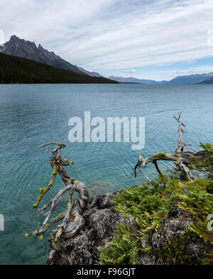 Le Canada, la Colombie-Britannique, Chilcotin, Chilcotin Arche, Chilko Lake, Banque D'Images