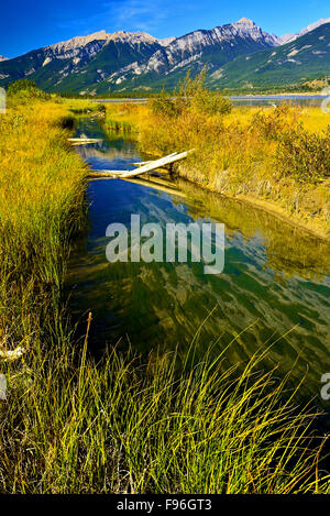 Un flux lent préjuger en Lac Jasper le long de la rivière Athabasca dans le parc national Jasper en Alberta au Canada. Banque D'Images