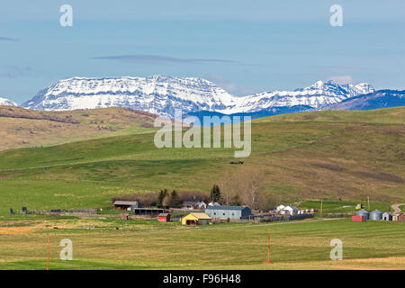 Ranch Longview, Alberta, Canada Banque D'Images