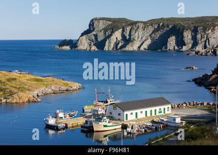 Les bateaux de pêche amarrés au quai, Brigus South, Terre-Neuve, Canada Banque D'Images