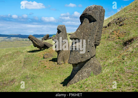 Ranu Raraku moai, cérémonie, l'île de Pâques Banque D'Images