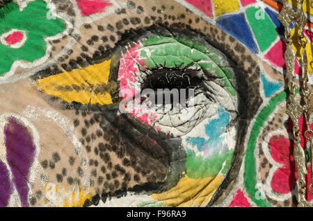 Éléphant décoré peint avec image de canard sur le visage pendant Holi, la fête hindoue des couleurs à Jaipur, Rajasthan, Inde. Banque D'Images