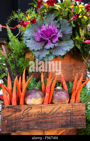 Des légumes cultivés dans des caisses en bois qui forment un écran à l'extérieur d'un restaurant sur le front de mer de Halifax, Halifax, Nova Banque D'Images