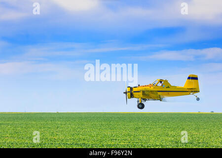 Petit duster avion qui vaporise farm field, Saskatchewan, Canada. Banque D'Images