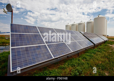 Les panneaux solaires, l'Alberta, Canada. Banque D'Images