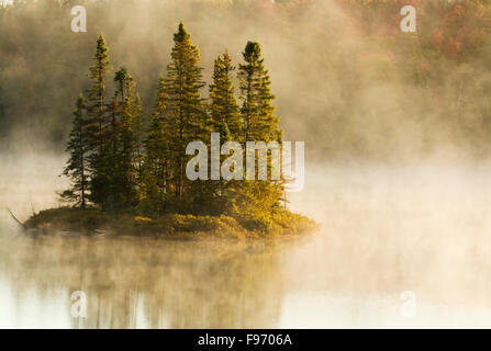 Matin brumeux en automne, Kenny Lake, Lake Superior Provincial Park, Ontario, Canada Banque D'Images