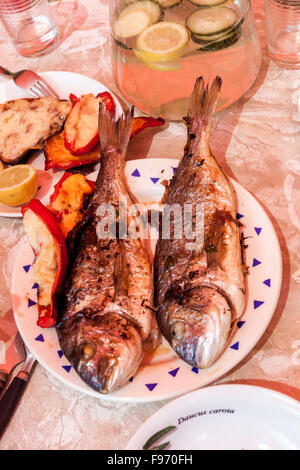 Feu de mer grillé sur l'assiette repas de poisson dorado Banque D'Images