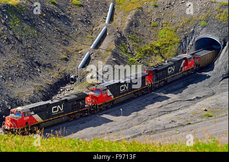 Un train de marchandises du Canadien National, transportant un chargement de wagons de charbon à travers un tunnel à un site de mine de charbon dans les contreforts de la Banque D'Images