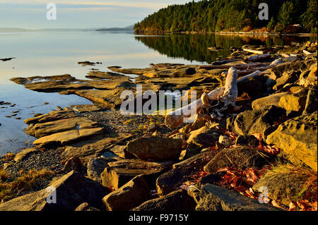 La côte rocheuse de l'île de Vancouver au début de lumière du matin près de Yellow Point B.C. Banque D'Images