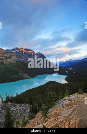 Le lac Peyto banff park national park, British Columbia, Canada Banque D'Images