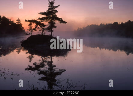 Matin, la baie McGregor, Whitefish Falls, Ontario, Canada Banque D'Images