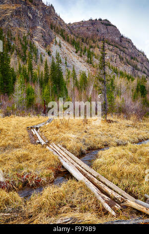 Journal chemin-ower marais de Altay tajga à temps au début du printemps Banque D'Images