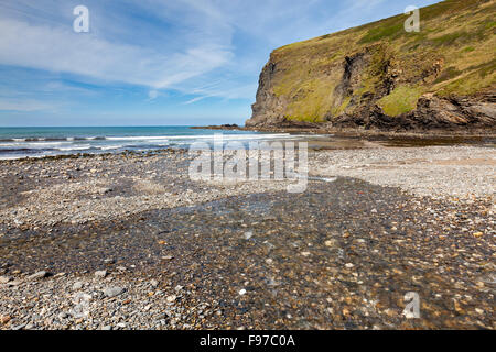 La plage de Crackington Haven sur la côte nord des Cornouailles Angleterre Angleterre Europe Banque D'Images