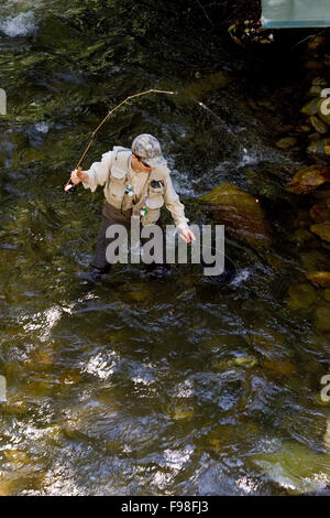 Les filets d'un pêcheur de mouche sur la Big Trout Davidson River près de la Caroline du Nord, à Brevard Pisgah National Forest. Banque D'Images