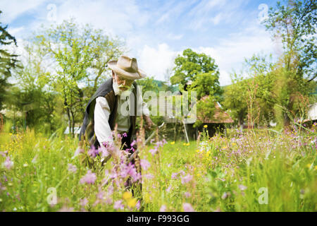 Vieux fermier avec l'aide de barbe scythe de tondre l'herbe traditionnellement Banque D'Images