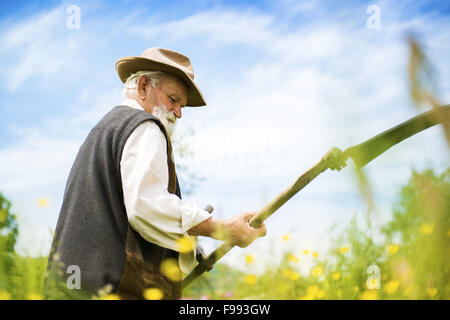 Vieux fermier avec l'aide de barbe scythe de tondre l'herbe traditionnellement Banque D'Images