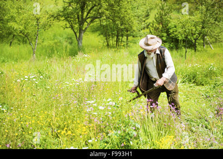 Vieux fermier avec l'aide de barbe scythe de tondre l'herbe traditionnellement Banque D'Images