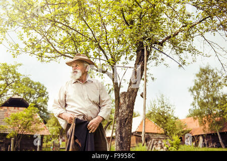 Vieux fermier avec barbe, travailler avec le râteau à jardin Banque D'Images