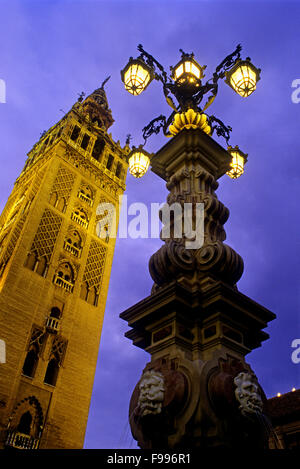 Giralda comme vu à partir de la Virgen de los Reyes square. Séville, Andalousie, espagne. Banque D'Images