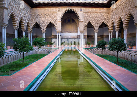 Alcazar Royal,'Patio de las des demoiselles de la Cour,,Séville, Andalousie, Espagne Banque D'Images