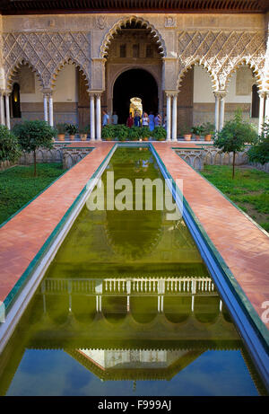 Alcazar Royal,'Patio de las des demoiselles de la Cour,,Séville, Andalousie, Espagne Banque D'Images