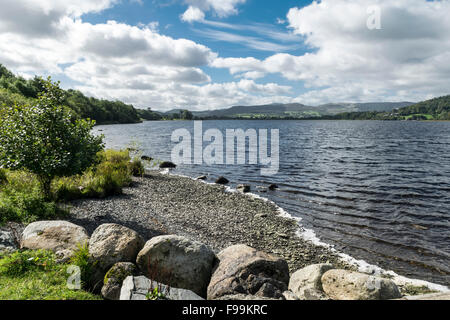 Llyn Tegid Bala Lake ou dans Merionethshire Gwynedd au Pays de Galles photos prises à Llangower Banque D'Images