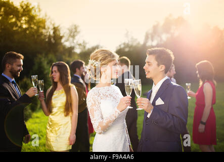 Les jeunes mariés et les invités du mariage clinking glasses at Wedding Reception à l'extérieur Banque D'Images