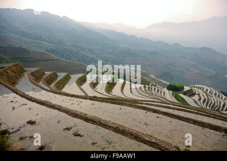 Longsheng rizières en terrasses, Chine Banque D'Images