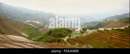 Longsheng rizières en terrasses, Chine Banque D'Images