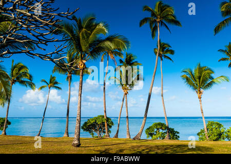 De superbes plages avec un ciel clair, les plages de sable et de palmiers sur l'île de Fidji dans le Pacifique Sud. Banque D'Images