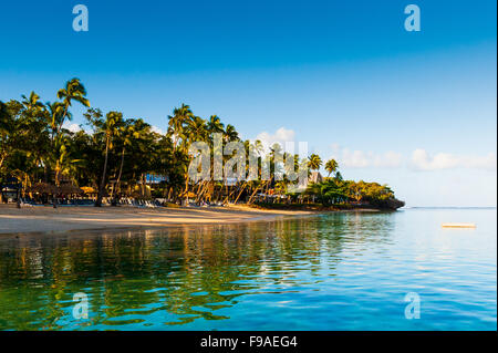 Palmiers, plages de sable et d'eau claire sur l'île de Fidji dans le Pacifique Sud. Banque D'Images