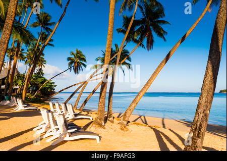 Palmiers, plages de sable et d'eau claire sur l'île de Fidji dans le Pacifique Sud. Banque D'Images