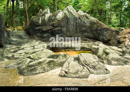 Paysage artificiel préhistorique avec des falaises de pierre pittoresque et petit étang dans le jardin Botanique de Singapour Banque D'Images