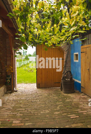 Vieille porte en bois et un patio Banque D'Images