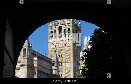 La tour de la cathédrale à travers une arche Séville Espagne Banque D'Images