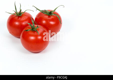 La tomate est le fruit rouge, souvent comestibles/berry du Solanum lycopersicum morelle Banque D'Images