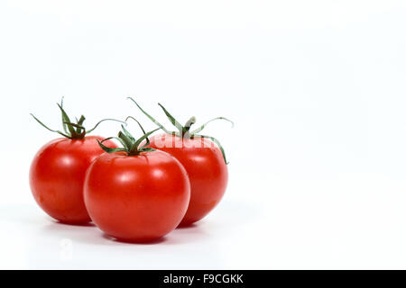 La tomate est le fruit rouge, souvent comestibles/berry du Solanum lycopersicum morelle Banque D'Images