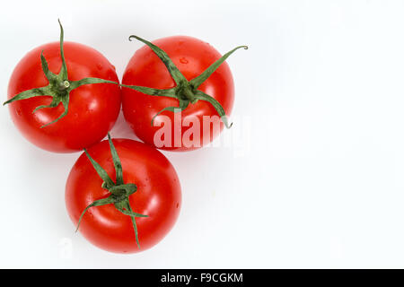 La tomate est le fruit rouge, souvent comestibles/berry du Solanum lycopersicum morelle Banque D'Images