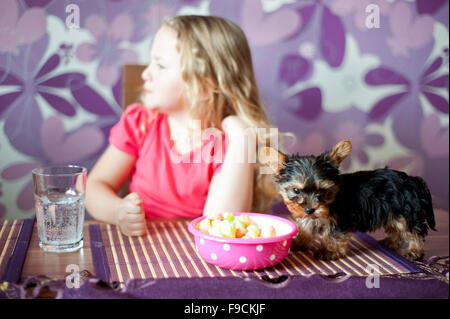 Petite fille et son chiot mangent ensemble dans la cuisine snack Banque D'Images