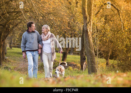 Couple leur chien beagle en automne campagne Banque D'Images