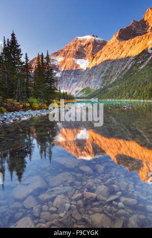 Le mont Edith Cavell traduit par Cavell Lake dans le Parc National de Jasper, Canada. Photographié au lever du soleil. Banque D'Images