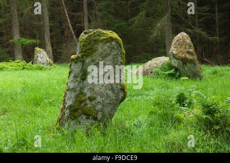 Neuf Stanes - près de Banchory, Aberdeenshire, Ecosse. Banque D'Images