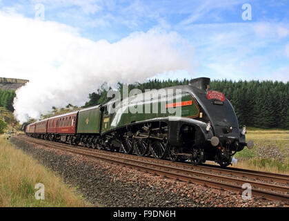 Une classe du Pacifique4, union de l'Afrique du Sud à la vapeur sur la ligne régler - Carlisle Banque D'Images