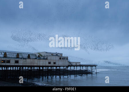 Pays de Galles Aberystwyth UK, le mercredi 16 décembre 2015 un énorme troupeau d'étourneaux effectuer affiche spectaculaire dans l'air au-dessus d'Aberystwyth, sur la côte ouest du pays de Galles chaque soir entre octobre et mars, des dizaines de milliers d'oiseaux voler dans urmurations "énorme ; dans le ciel au-dessus de la ville avant de s'installer au perchoir pour la nuit sur les jambes de fer de fonte de la Victorian station pier. Credit : Keith morris/Alamy Live News Banque D'Images