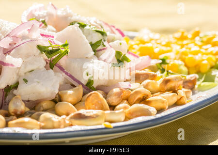 Close-up of péruvien typique plat de poisson Ceviche avec Cancha (maïs grillé) Banque D'Images