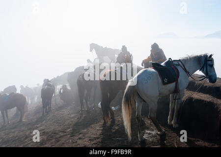 Chevaux et randonneurs Banque D'Images