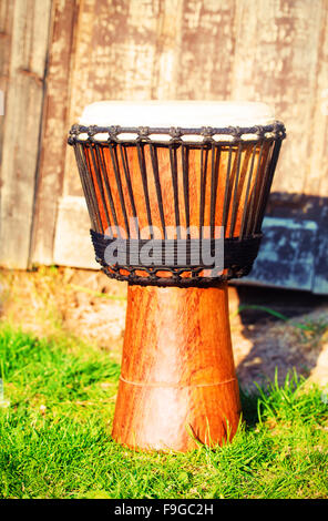 Djembe africain d'origine en cuir avec lamina, sur vert dans la lumière du soleil. Banque D'Images