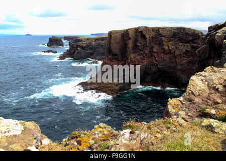 Les falaises de Eshaness Calder a Geo, péninsule Northmavine Mainland Shetland Islands Scotland UK Banque D'Images