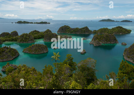 De nombreuses petites îles vertes appartenant à Fam Île de la mer de Raja Ampat, Papouasie Nouvelle Guinée Banque D'Images